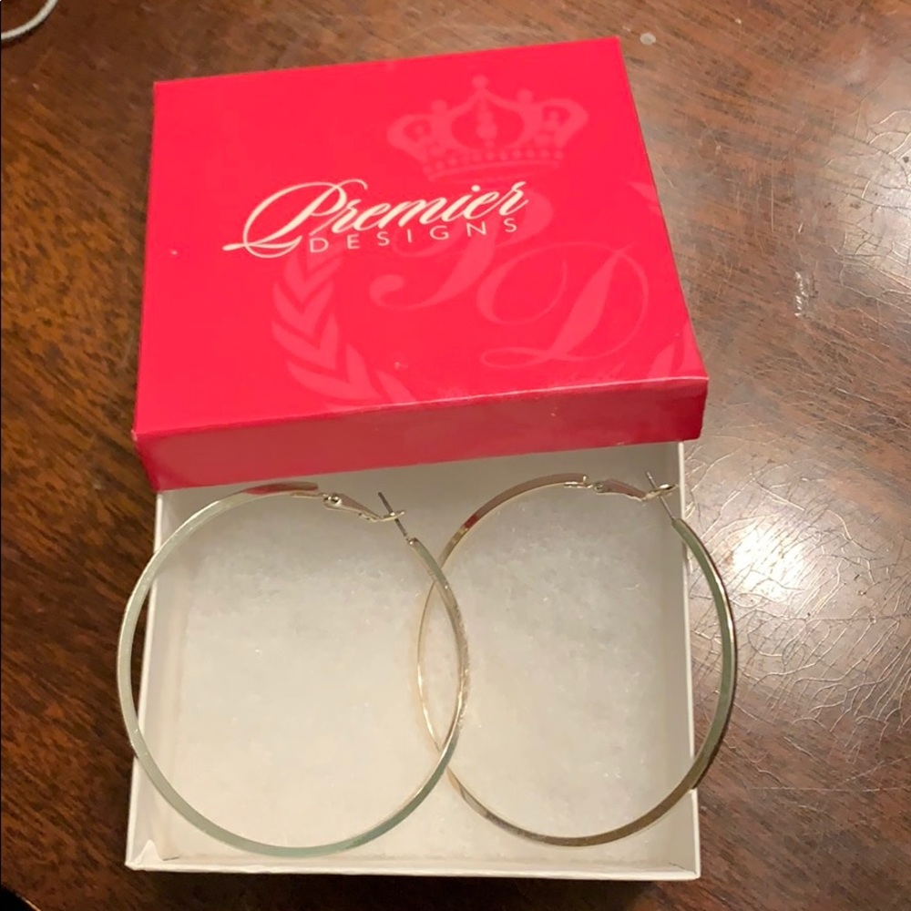 Premier silver plated hoop earrings